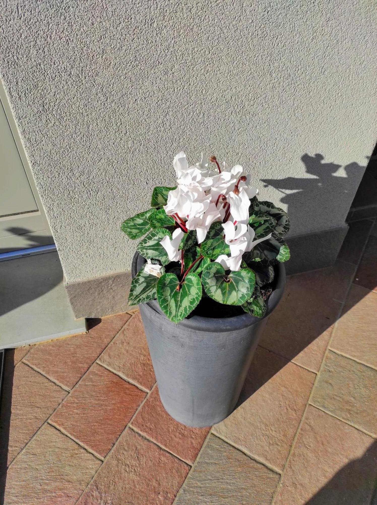Attic House Mountain Lake Iseo Hospitality Bossico Exterior foto